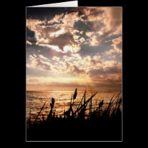 Dusk at Brighton Beach cards