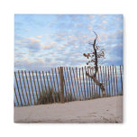 Dusk at Jupiter Beach Magnets