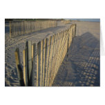 dusk beach 2 cards