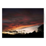 Dusk Forest 2 Card