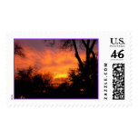 Dusk in Texas Stamp