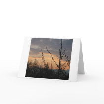 Dusk Light cards