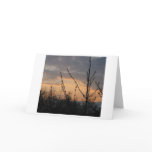 Dusk Light cards