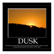 Dusk Poster posters