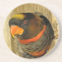 Dusky Lory Parrot Coaster