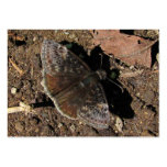 Duskywing Butterfly ~ ATC Business Card Template