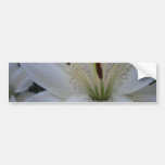 Dusted White Lily Bumper Stickers