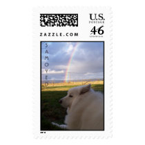Dusty Charms them All postage