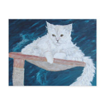 Dusty Lady Post Card