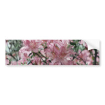 Dusty pink azaleas and meaning bumper sticker