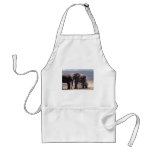 Dusty place apron