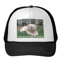 DUSTY - PUPPY MILL SURVIVOR TRUCKER HAT