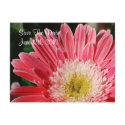 Dusty Rose Gerbera Save The Date Postcard by dlgray Dusty Rose Gerbera Save The Date Postcard