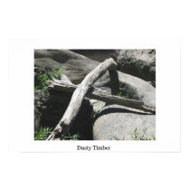 Dusty Timber posters