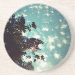 Dusty Trees Coasters