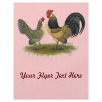 Dutch Bantam:  Blue Quail Full Color Flyer