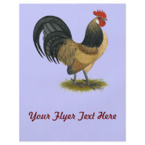 Dutch Bantam:  Blue Quail Rooster Flyers