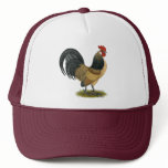 Dutch Bantam:  Blue Quail Rooster Hat