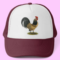 Dutch Bantam:  Blue Quail Rooster hats
