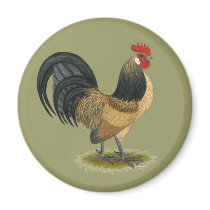 Dutch Bantam:  Blue Quail Rooster Fridge Magnets