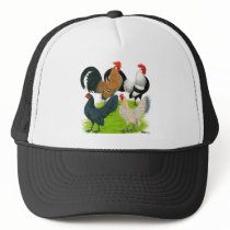 Dutch Bantam Quartet Mesh Hat