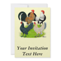 Dutch Bantam Quartet Invitation