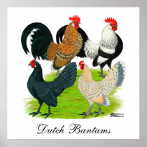 Dutch Bantam Quartet Posters
