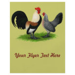 Dutch Bantams:  Cream Light Brown flyers