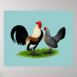 Dutch Bantams:  Cream Light Brown Posters
