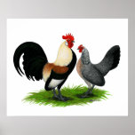 Dutch Bantams:  Cream Light Brown posters