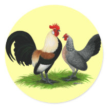 Dutch Bantams:  Cream Light Brown Stickers