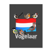 Dutch Birder: Vogelaar Postcards