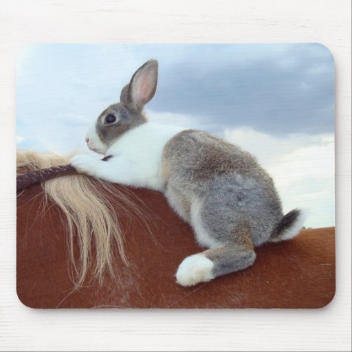 Dutch bunny rabbit riding a horse mousepad