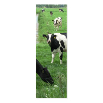 Dutch Cows Holland Bookmark Photo Art business cards