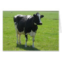 Dutch Frisian cow in green meadow cards by hollandshop Dutch Frisian cow in green meadow cards