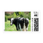 Dutch Frisian Cow in Meadow Post Stamps