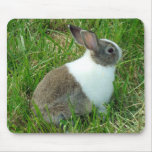 Dutch in grass mousepad