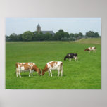 Dutch landscape Cows & Villag Holland Photo Poster