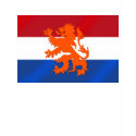 Dutch Lion Netherlands flag Gift t-shirts
