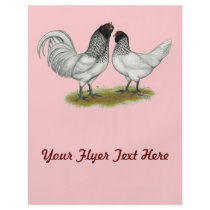 Dutch Owl Beard Chickens Flyers