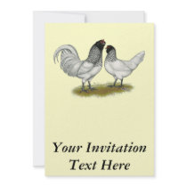 Dutch Owl Beard Chickens Invite
