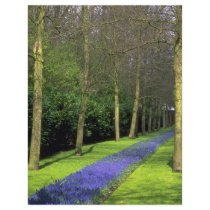 Dutch parkland from the Forest Personalized Flyer