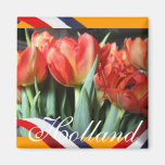Dutch Red Tulips Orange Fridge Magnet