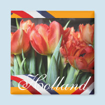 Dutch Red Tulips Orange Fridge Magnet magnets