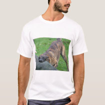 Dutch Shepherd t-shirts