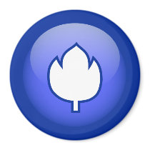 Dutch Tulip magnets