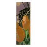 Dutch Tulips Holland Bookmark Photo Art Business Card Templates