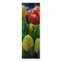 Dutch Tulips Holland Bookmark Photo Art profilecard