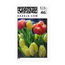 Dutch Tulips Postage Stamps