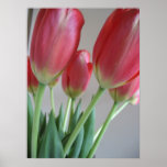 Dutch Tulips Poster